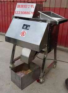 滎陽天嘉食品機械制造廠 蔬菜切丁機圖片與產品解析